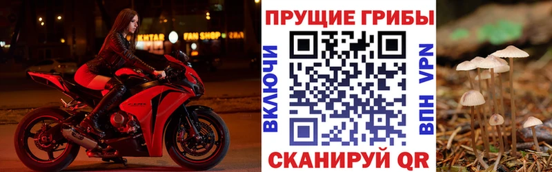 Галлюциногенные грибы прущие грибы  Чишмы 